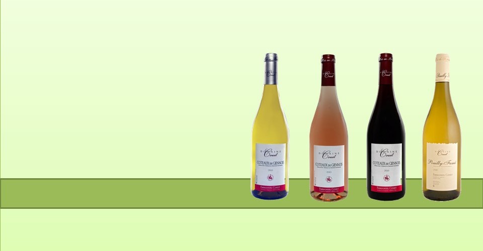 VinsShelve